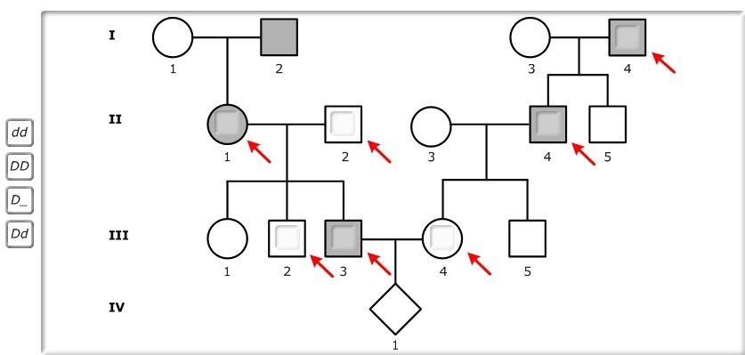 1548_autosomal dominant pedigrees.png